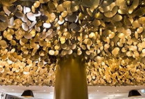 20160509_171502cave-gourmet-gl12.jpg